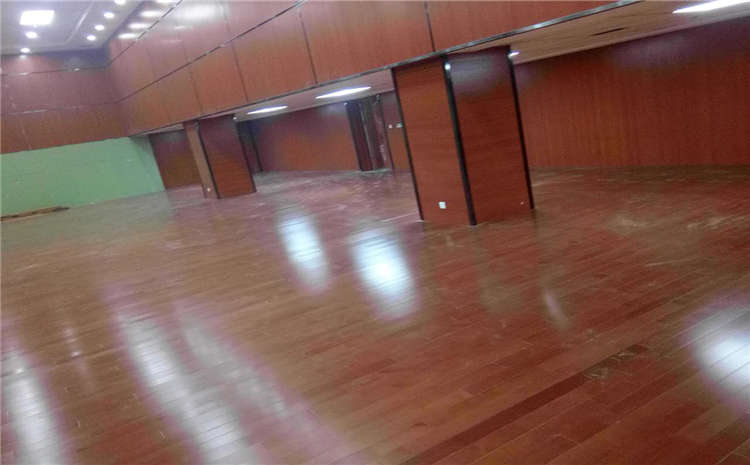 體育館木地板防蛀蟲原來這么多好辦法！