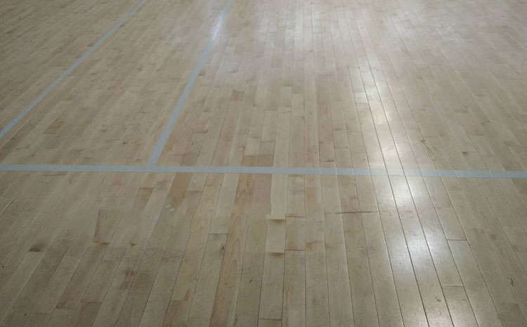 體育木地板雙龍骨結(jié)構(gòu)系統(tǒng)