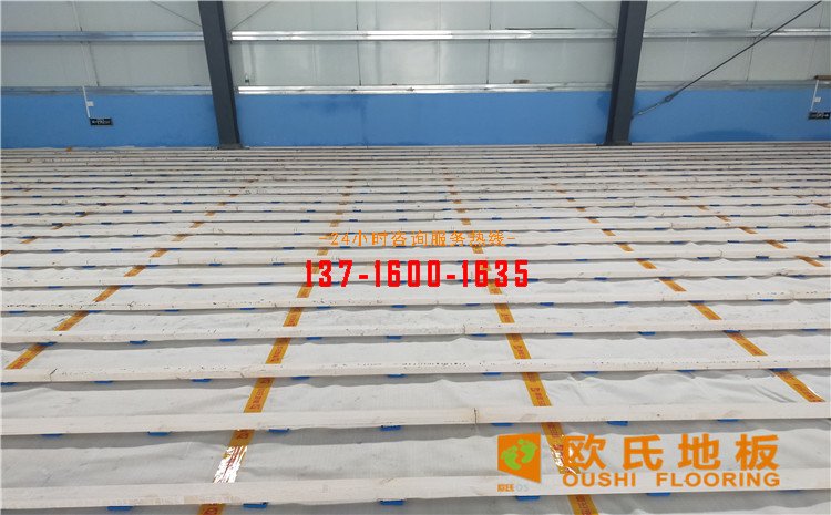 廣東惠來縣羽毛球館木地板案例——?dú)W氏運(yùn)動(dòng)木地板廠家