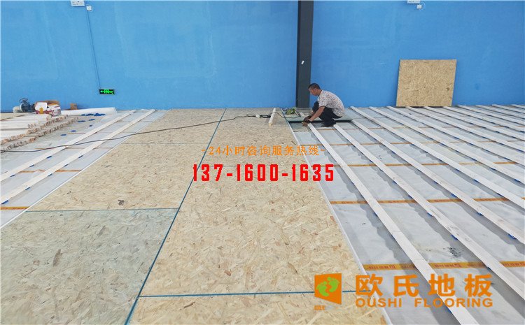 廣東惠來縣羽毛球館木地板案例——?dú)W氏運(yùn)動(dòng)木地板廠家