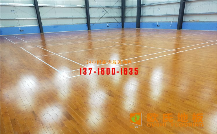 廣東惠來縣羽毛球館木地板案例——?dú)W氏運(yùn)動(dòng)木地板廠家