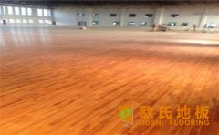 家里建個籃球場，如何設(shè)計