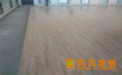 寧夏專業(yè)運(yùn)動(dòng)木地板安裝