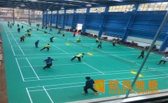 蘭州運動木地板廠家