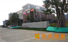 運(yùn)動(dòng)木地板廠(chǎng)家采購(gòu)有什么好處