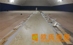 運動木地板如何選購？