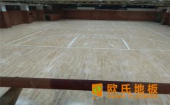 四川室內(nèi)排球館木地板多少錢？