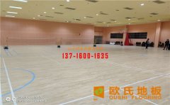 楓樺木運動面板有什么要求？