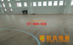 體育運(yùn)動木地板受歡迎的四大原因