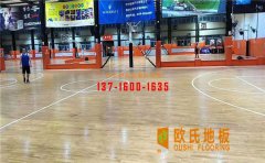 體育運動木地板面板漆的涂刷工藝