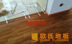 選購體育運動木地板時不要忽視面板顏色