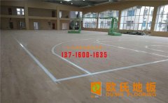 歐氏品牌：全心全意為您的體育場館服務