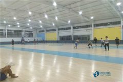 上海體育運(yùn)動(dòng)木地板多少錢(qián)一平方